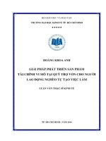 Giải pháp phát triển sản phẩm tài chính vi mô tại quỹ trợ vốn cho người lao động nghèo tự tạo việc làm 