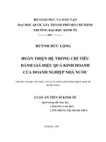 Hoàn thiện hệ thống chỉ tiêu đánh giá hiệu quả kinh doanh của doanh nghiệp nhà nước 