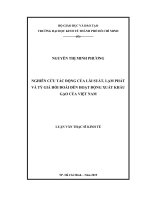 Nghiên cứu tác động của lãi suất, lạm phát và tỷ giá hối đoái đến hoạt động xuất khẩu gạo của việt nam 
