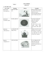 Unit 1   LIFE STORIES 