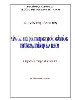 Nâng cao hiệu quả tín dụng tại các ngân hàng thương mại trên địa bàn tp  HCM 