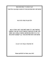 Đo lường mức độ phù hợp của hệ thống thông tin kế toán trong mối quan hệ với hiệu quả hoạt động kinh doanh của các doanh nghiệp tại thành phố hồ chí minh 