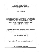 Một số giải pháp nhằm áp dụng và phát triển nghiệp vụ kinh doanh ngoại tệ ở các ngân hàng thương mại trên địa bàn thành phố hồ chí minh 