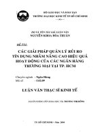 Các giải pháp quản lý rủi ro tín dụng nhằm nâng cao hiệu quả hoạt động của các ngân hàng thương mại tại thành phố hồ chí minh , luận văn thạc sĩ 