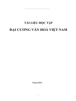 Đại cương văn hóa việt nam