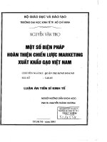 Một số biện pháp hoàn thiện chiến lược marketing xuất khẩu gạo việt nam 