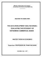 The data envelopment analysis model, evaluating the efficiency of vietnamese commercial banks 