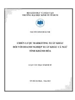 Chiến lược marketing xuất khẩu đối với doanh nghiệp xuất khẩu cá ngừ tỉnh khánh hòa 