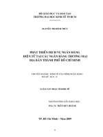 Phát triển dịch vụ ngân hàng điện tử tại các ngân hàng thương mại địa bàn thành phố hồ chí minh 