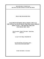 Gỉai pháp mở rộng hoạt động cho vay tiêu dùng tại ngân hàng thương mại cổ phần đông nam á   chi nhánh chợ lớn , luận văn thạc sĩ 