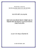 Một số giải pháp hoàn thiện quản trị rủi ro tín dụng tại ngân hàng TMCP sài gòn 