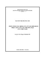 Phân tích tác động của tỷ giá hối đoái thực lên cán cân thương mại của việt nam 