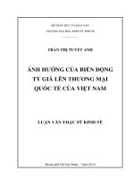 Ảnh hưởng của biến động tỷ giá lên thương mại quốc tế của việt nam , luận văn thạc sĩ 