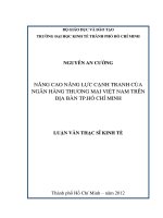 Nâng cao năng lực cạnh tranh của ngân hàng thương mại việt nam trên địa bàn TP  hồ chí minh 