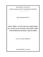 Hoàn thiện văn hóa doanh nghiệp theo ba cấp độ tại ngân hàng thương mại cổ phần phát triển thành phố hồ chí minh   hội sở chính 