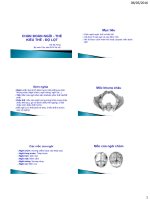 6  chan doan ngoi the th hùng 