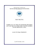 Các nhân tố ảnh hưởng đến động lực làm việc của công chức, người lao động ngành thống kê cà mau 