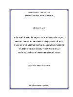 Các nhân tố tác động đến rủi ro tín dụng trong cho vay doanh nghiệp nhỏ và vừa tại các chi nhánh ngân hàng nông nghiệp và phát triển nông thôn việt nam trên địa bàn TP  hồ chí minh 