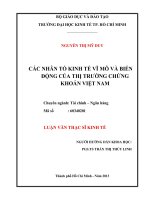 Các nhân tố kinh tế vĩ mô và biến động của thị trường chứng khoán việt nam , luận văn thạc sĩ 