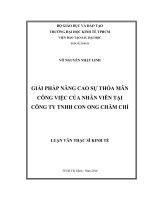 Giải pháp nâng cao sự thỏa mãn công việc của nhân viên tại công ty TNHH con ong chăm chỉ 