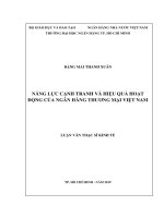 Năng lực cạnh tranh và hiệu quả hoạt động của ngân hàng thương mại việt nam​ 
