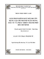 Giải pháp kiểm soát rủi ro tín dụng tại chi nhánh ngân hàng đầu tư và phát triển thành phố hồ chí minh , luận văn thạc sĩ 