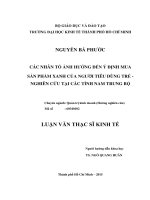 Các nhân tố ảnh hưởng đến ý định mua sắm sản phẩm xanh của người tiêu dùng trẻ   nghiên cứu tại các tỉnh nam trung bộ 