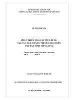 Phát triển cho vay tiêu dùng tại các ngân hàng thương mại trên địa bàn tỉnh tiền giang 