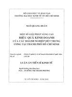 Một số giải pháp nâng cao hiệu quả kinh doanh của các doanh nghiệp dệt trung ương tại TP  hồ chí minh 