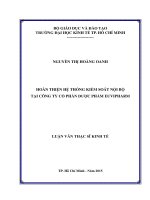 Hoàn thiện hệ thống kiểm soát nội bộ tại công ty cổ phần dược phẩm euvipharm 