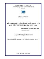 Tác động của tỷ giá hối đoái thực lên cán cân thương mại tại việt nam 