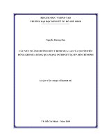 Các yếu tố ảnh hưởng đến ý định mua lại của người tiêu dùng khi mua hàng qua mạng internet tại tp  hồ chí minh 