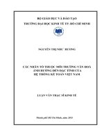 Các nhân tố thuộc môi trường văn hóa ảnh hưởng đến đặc tính của hệ thống kế toán việt nam 