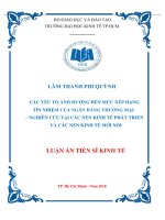 Các yếu tố ảnh hưởng đến mức xếp hạng tín nhiệm của ngân hàng thương mại   nghiên cứu tại các nền kinh tế phát triển và các nền kinh tế mới nổi 