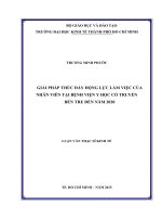 Giải pháp thúc đẩy động lực làm việc của nhân viên tại bệnh viện y học cổ truyền bến tre đến năm 2020 