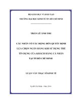 Các nhân tố tác động đến quyết định lựa chọn ngân hàng khi sử dụng thẻ tín dụng của khách hàng cá nhân tại thành phố hồ chí minh 