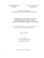 Technical efficiency and its determinants , the case of manufacturing firms in vietnam 