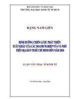 Định hướng chiến lược phát triển xuất khẩu của các doanh nghiệp vừa và nhỏ trên địa bàn TP  hồ chí minh đến năm 2020 