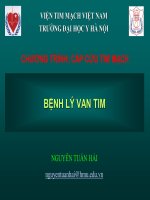 Benh van tim cap cuu th hải 