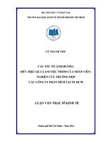Các yếu tố ảnh hưởng đến hiệu quả làm việc nhóm của nhân viên, nghiên cứu trường hợp các công ty phần mềm tại TP HCM 