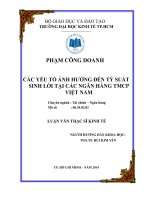 Các yếu tố ảnh hưởng đến tỷ suất sinh lời tại các ngân hàng TMCP việt nam 