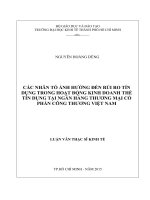 Các nhân tố ảnh hưởng đến rủi ro tín dụng trong hoạt động kinh doanh thẻ tín dụng tại ngân hàng thương mại cổ phần công thương việt nam 
