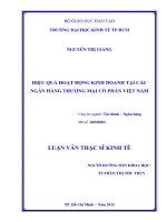 Hiệu quả hoạt động kinh doanh tại các ngân hàng thương mại cổ phần việt nam 