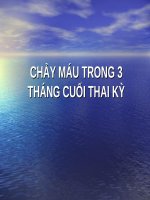 29 30 31  CHẢY máu 3 thang cuoi sinh v ienppt 
