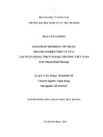 Giải pháp mở rộng tín dụng doanh nghiệp nhỏ và vừa tại ngân hàng TMCP ngoại thương việt nam 