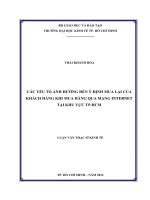 Các yếu tố ảnh hưởng đến ý định mua lại của khách hàng khi mua hàng qua mạng internet tại khu vực TP HCM , luận văn thạc sĩ 