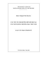 Các yếu tố ảnh hưởng đến rủi ro tại các ngân hàng thương mại việt nam 