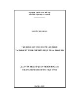 Tạo động lực cho người lao động tại Công ty TNHH chế biến thực phẩm Đông Đô : Luận văn ThS. Kinh doanh và quản lý: 60 34 01 02