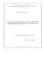 Tài nguyên, môi trường trong việc phát triển kinh tế thị trường ở Việt Nam : Luận văn ThS. Kinh tế chính trị xã hội chủ nghĩa: 5.02.01