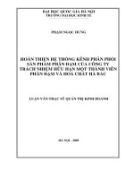 Hoàn thiện hệ thống kênh phân phối sản phẩm phân đạm của Công ty trách nhiệm hữu hạn một thành viên phân đạm và hóa chất Hà Bắc : Luận văn ThS. Kinh doanh và quản lý: 60 34 05